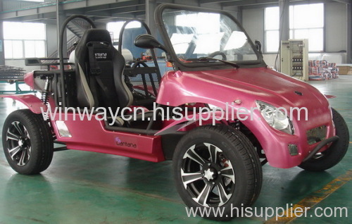 EEC approved 800cc on road and off road go cart