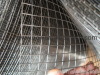 Electro Galvanized Welded Wire Mesh