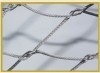 Decorative wire meshS