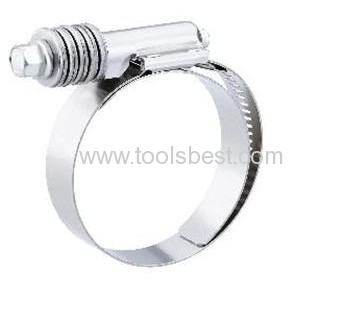 Constant tension hose clamp