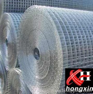 Galvanized Welded Wire Mesh