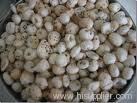 fried lotus seed