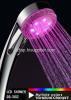 led shower