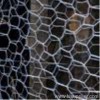 supply chicken poultry wire netting