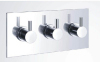 Concealed Thermostatic shower valve