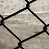 Coated chain link fence