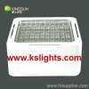 LED Canopy Light