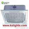 LED Canopy Light