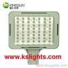 LED Canopy Light