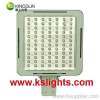 LED Canopy Light