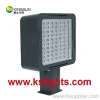 LED Canopy Light