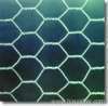 Hexagonal wire mesh