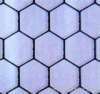 Hexagonal wire mesh