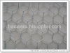 Chicken Wire Mesh