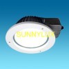 LED Downlight