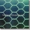 hexagonal wire mesh