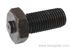 Black Hex Bolt