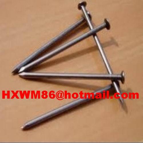 Common Wire Nail