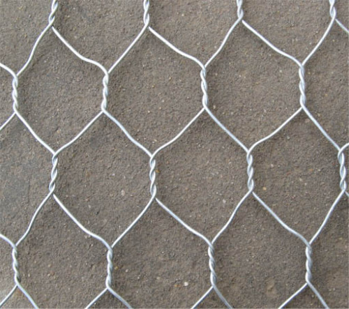 Hexagonal wire mesh