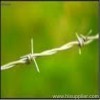 barbed wire