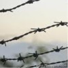 barbed wire