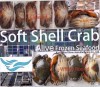 frozen Soft Shell Crab