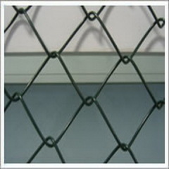 Stainless Chain Link Fence