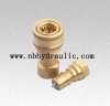 Brass Coupling