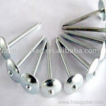 umbrella head roofing nail