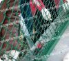 PVC coated chain link fence