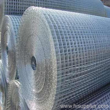 Galvanized Welded Wire Mesh