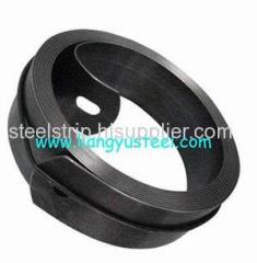 Rolling Shutter Spring Steel Strip