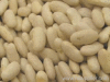 white kidney Beans