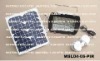 Solar Motion Flood Light