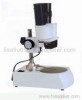 stereo microscope