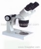 stereo microscope