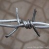 barbed wire