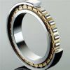 Single Row Full Complement Cylindrical Roller Bearings