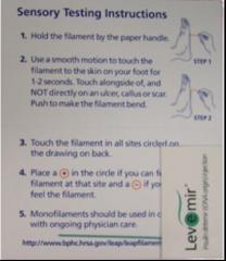 Sensory Testing monofilament