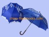 Gift Umbrella