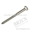 lag screw