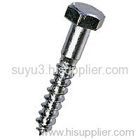 coach screw