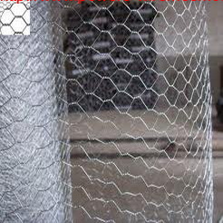 Galvanized hexagonal wire mesh