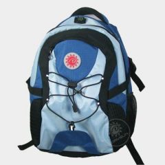 2010 NEW MODEL Computer backpack