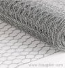 hexagonal wire mesh