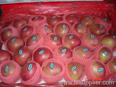 red star apple