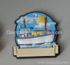 3D soft PVC fridge magnet/ refrigerator magnet