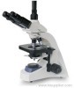 PB-3438 Advanced Biological Microscope