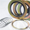 Spiral Wound (semi-metallic) gaskets