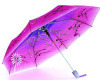 3-Fold Umbrella